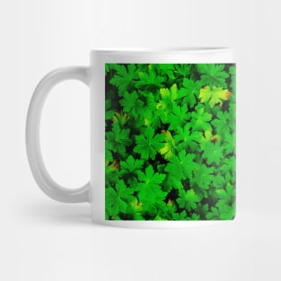 Geraniums Mug